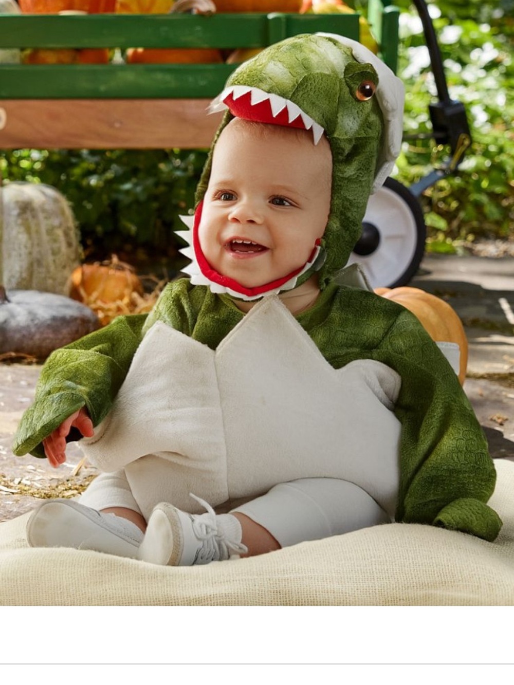Pottery Barn Kids Baby T. rex egg hatchling Halloween costume size 0-6 months